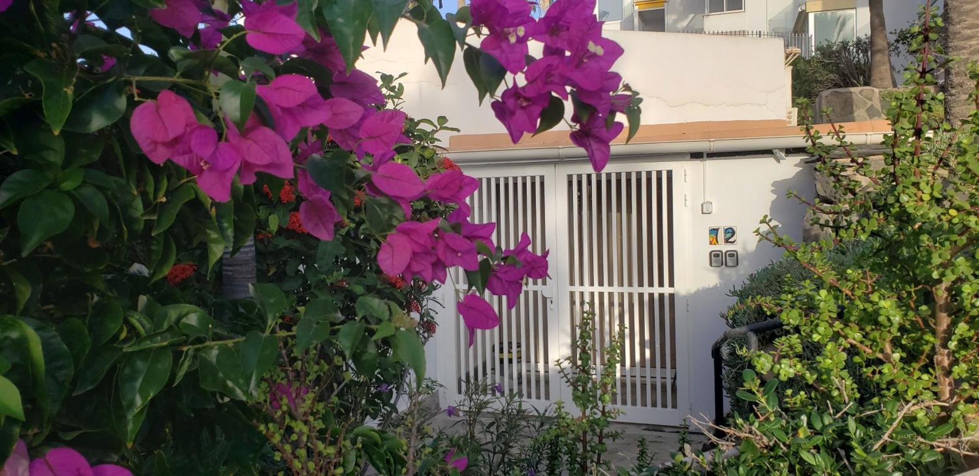 Bungalow Uno - Front Line Of Ocean San Bartolomé Dış mekan fotoğraf